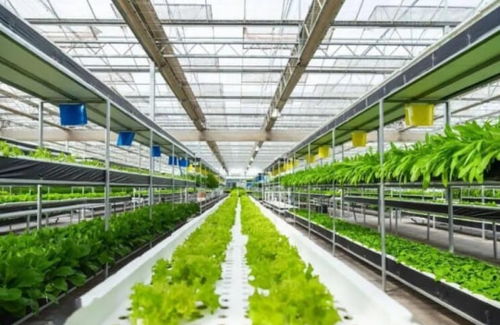 農(nóng)業(yè)產(chǎn)業(yè)周報(bào) 新希望 天禾 桃李面包 慧辰 京基智農(nóng)最新動(dòng)態(tài)