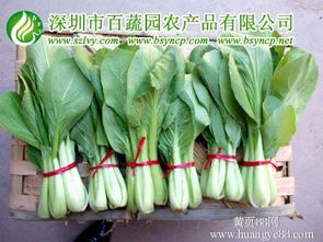 深圳農(nóng)產(chǎn)品配送,惠州蔬菜配送,深圳送菜公司,深圳蔬菜配送