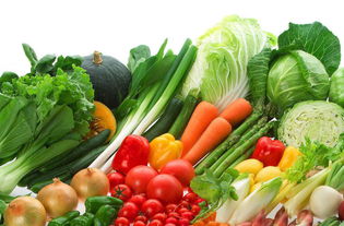 老年人究竟是吃肉好,還是吃素好