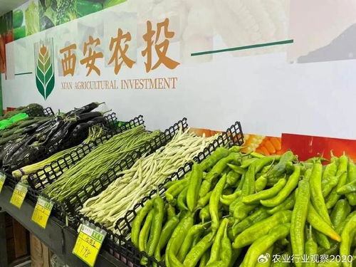 農業行業觀察深度剖析 什么是農產品直供模式 附創新路徑