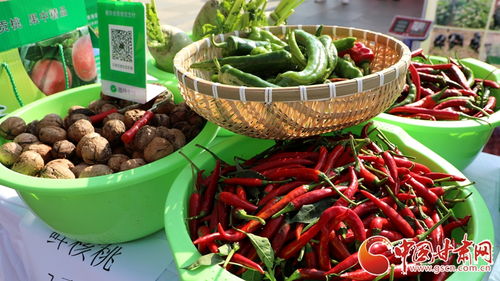 蘭州市西固區舉辦2024年中國農民豐收節慶?；顒? class=