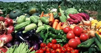 農(nóng)產(chǎn)品地理標(biāo)志助力產(chǎn)業(yè)扶貧 推動農(nóng)產(chǎn)品區(qū)域品牌